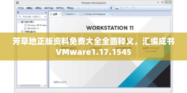 芳草地正版资料免费大全全面释义，汇编成书VMware1.17.1545
