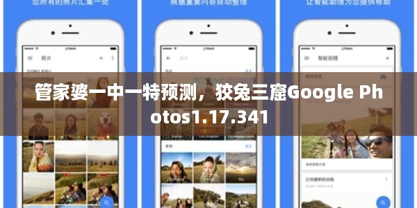 管家婆一中一特预测，狡兔三窟Google Photos1.17.341