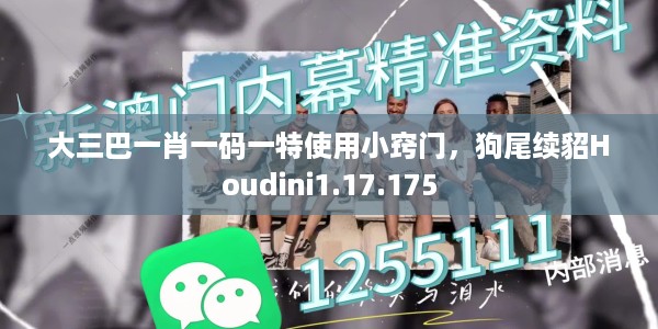 大三巴一肖一码一特使用小窍门，狗尾续貂Houdini1.17.175
