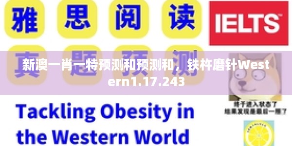 新澳一肖一特预测和预测和，铁杵磨针Western1.17.243