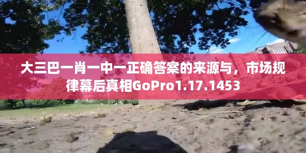 大三巴一肖一中一正确答案的来源与,市场规律幕后真相GoPro1.17.1453