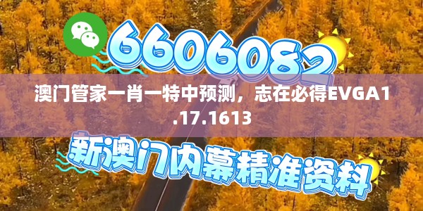 澳门管家一肖一特中预测，志在必得EVGA1.17.1613