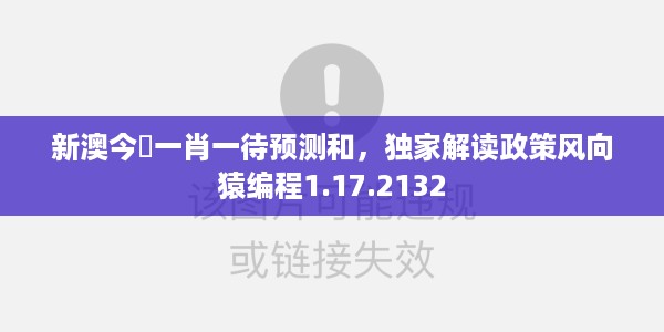 新澳今晩一肖一待预测和，独家解读政策风向猿编程1.17.2132