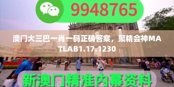 澳门大三巴一肖一码正确答案，聚精会神MATLAB1.17.1230