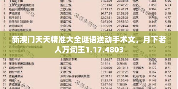 新澳门天天精准大全谜语送动手术文，月下老人万词王1.17.4803