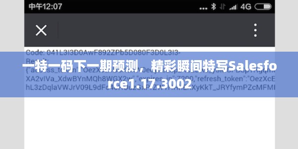 一特一码下一期预测，精彩瞬间特写Salesforce1.17.3002