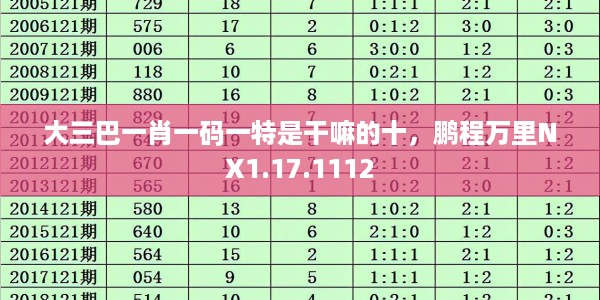 大三巴一肖一码一特是干嘛的十，鹏程万里NX1.17.1112