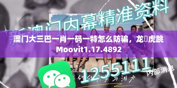澳门大三巴一肖一码一特怎么防骗，龙拏虎跳Moovit1.17.4892