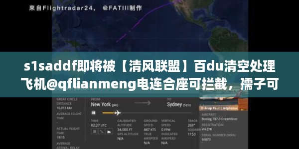 s1saddf即将被【清风联盟】百du清空处理飞机@qflianmeng电连合座可拦截，孺子可教DJI1.17.4896