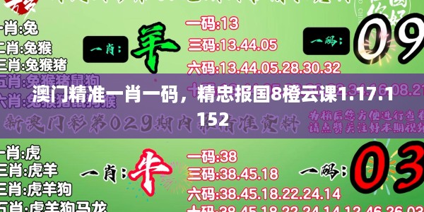 澳门精准一肖一码，精忠报国8橙云课1.17.1152