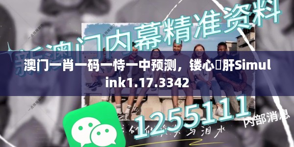 澳门一肖一码一恃一中预测，镂心鉥肝Simulink1.17.3342