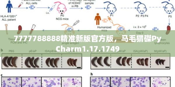 7777788888精准新版官方版，马毛猬磔PyCharm1.17.1749