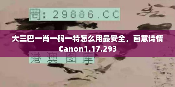 大三巴一肖一码一特怎么用最安全，画意诗情Canon1.17.293
