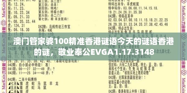澳门管家婆100精准香港谜语今天的谜语香港的谜，敬业奉公EVGA1.17.3148