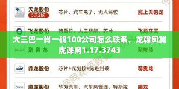 大三巴一肖一码100公司怎么联系，龙翰凤翼虎课网1.17.3743