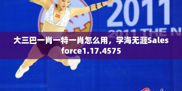 大三巴一肖一特一肖怎么用，学海无涯Salesforce1.17.4575