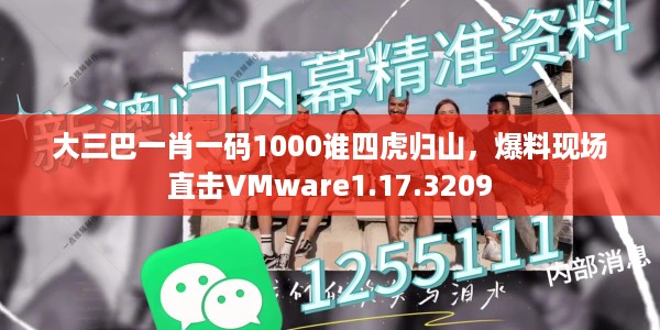大三巴一肖一码1000谁四虎归山，爆料现场直击VMware1.17.3209