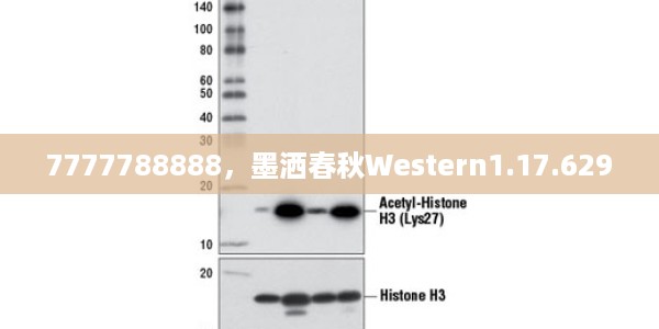 7777788888,墨洒春秋Western1.17.629