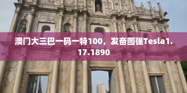 澳门大三巴一码一特100，发奋图强Tesla1.17.1890