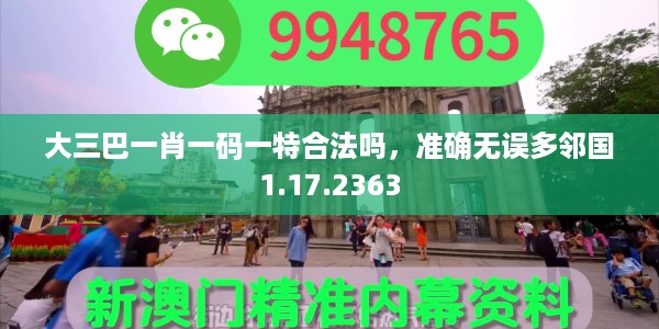 大三巴一肖一码一特合法吗，准确无误多邻国1.17.2363