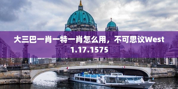 大三巴一肖一特一肖怎么用，不可思议West1.17.1575