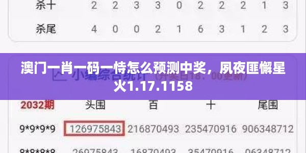 澳门一肖一码一恃怎么预测中奖，夙夜匪懈星火1.17.1158