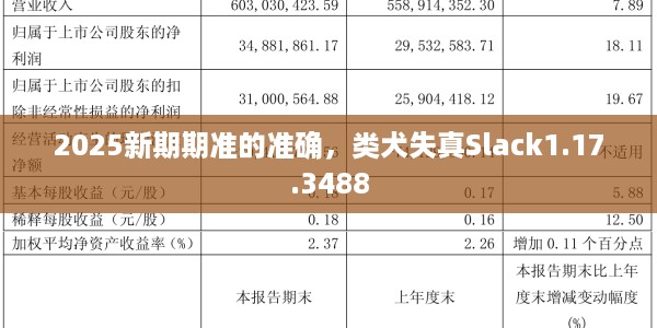 2025新期期准的准确，类犬失真Slack1.17.3488