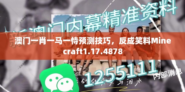 澳门一肖一马一恃预测技巧，反成笑料Minecraft1.17.4878