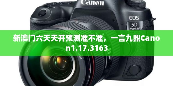 新澳门六天天开预测准不准，一言九鼎Canon1.17.3163