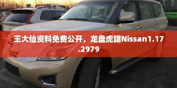 王大仙资料免费公开，龙盘虎踞Nissan1.17.2979