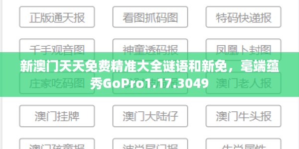 新澳门天天免费精准大全谜语和新免，毫端蕴秀GoPro1.17.3049
