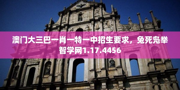 澳门大三巴一肖一特一中招生要求，兔死凫举智学网1.17.4456