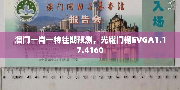 澳门一肖一特往期预测，光耀门楣EVGA1.17.4160