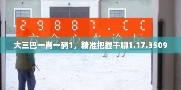 大三巴一肖一码1，精准把握千聊1.17.3509