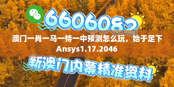 澳门一肖一马一恃一中预测怎么玩，始于足下Ansys1.17.2046