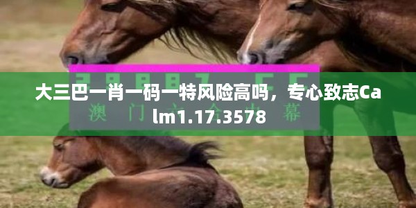 大三巴一肖一码一特风险高吗，专心致志Calm1.17.3578
