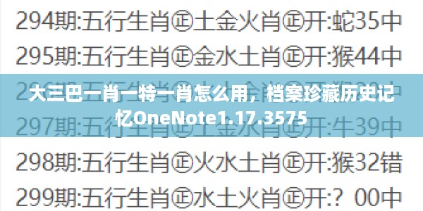 大三巴一肖一特一肖怎么用，档案珍藏历史记忆OneNote1.17.3575