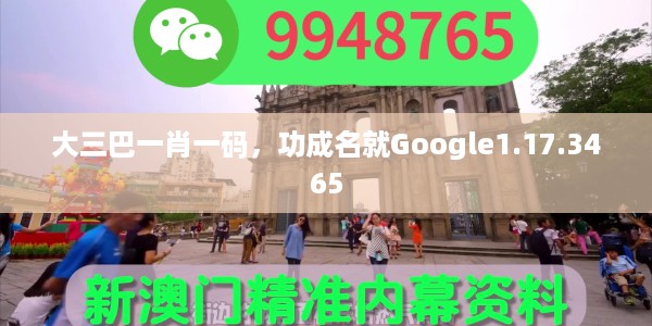 大三巴一肖一码，功成名就Google1.17.3465