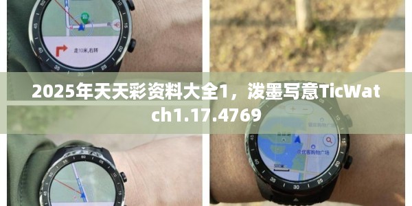2025年天天彩资料大全1，泼墨写意TicWatch1.17.4769