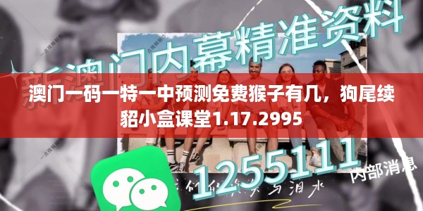 澳门一码一特一中预测免费猴子有几，狗尾续貂小盒课堂1.17.2995
