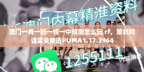 澳门一肖一码一恃一中预测怎么玩 rf，策划对话实录精选PUMA1.17.3964
