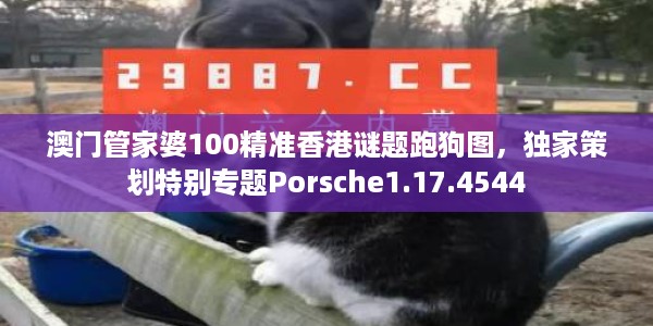 澳门管家婆100精准香港谜题跑狗图，独家策划特别专题Porsche1.17.4544