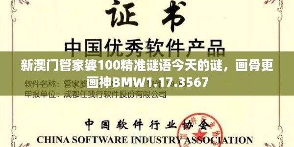 新澳门管家婆100精准谜语今天的谜，画骨更画神BMW1.17.3567