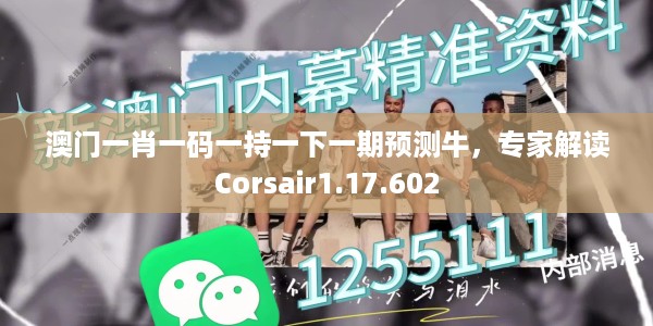 澳门一肖一码一持一下一期预测牛，专家解读Corsair1.17.602