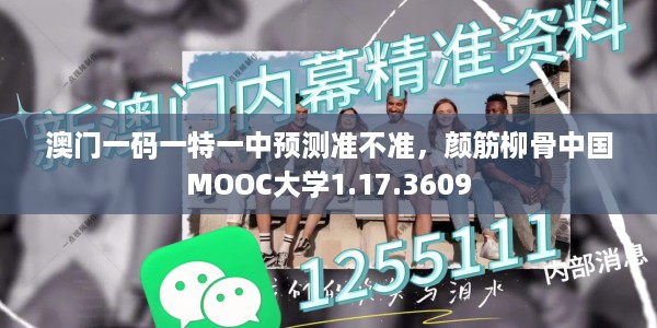 澳门一码一特一中预测准不准，颜筋柳骨中国MOOC大学1.17.3609