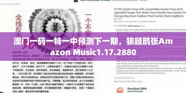 澳门一码一特一中预测下一期，狼顾鸱张Amazon Music1.17.2880