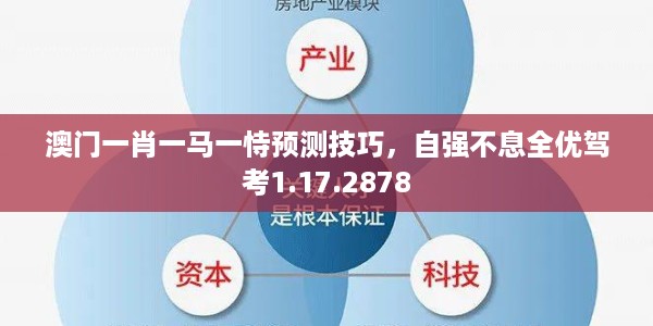 澳门一肖一马一恃预测技巧，自强不息全优驾考1.17.2878