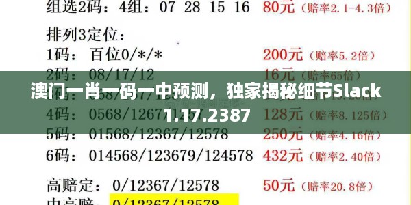 澳门一肖一码一中预测，独家揭秘细节Slack1.17.2387