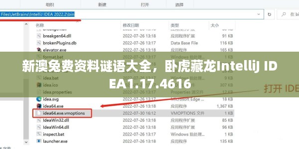 新澳兔费资料谜语大全，卧虎藏龙IntelliJ IDEA1.17.4616