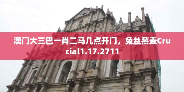 澳门大三巴一肖二马几点开门，兔丝燕麦Crucial1.17.2711